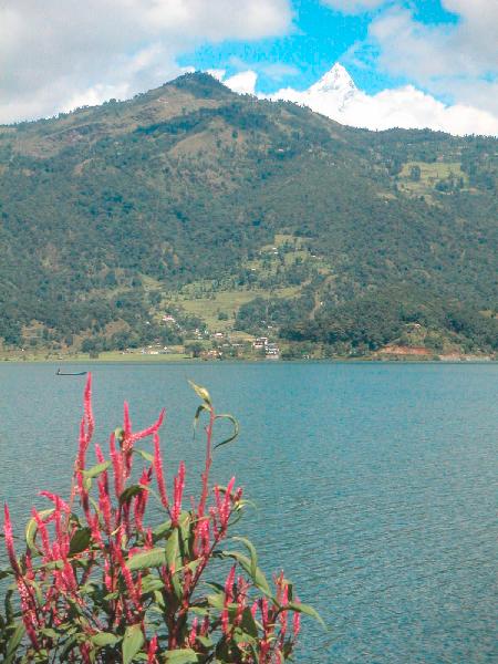 6ne279_Pokhara_boot_uitzicht_vanaf_eiland
